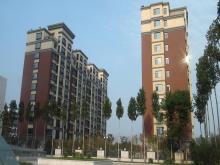 濰坊市和春住住宅樓，獲得2013年度濰坊市“優(yōu)質(zhì)結(jié)構(gòu)杯質(zhì)量獎(jiǎng)”